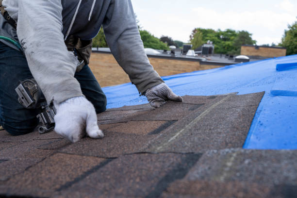 Best Roof Waterproofing Services  in Chesilhurst, NJ