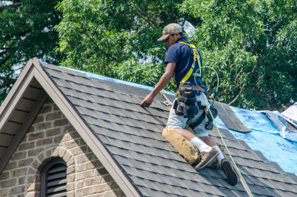 Best Roof Maintenance Services  in Chesilhurst, NJ